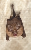 Morcego de ferradura pequeno (Rinolophus hipposideros).